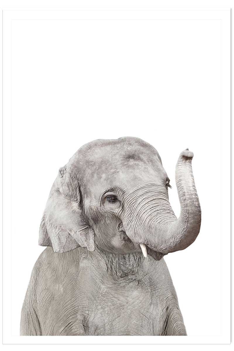 Affiche enfant bébé élephant, HEXOA