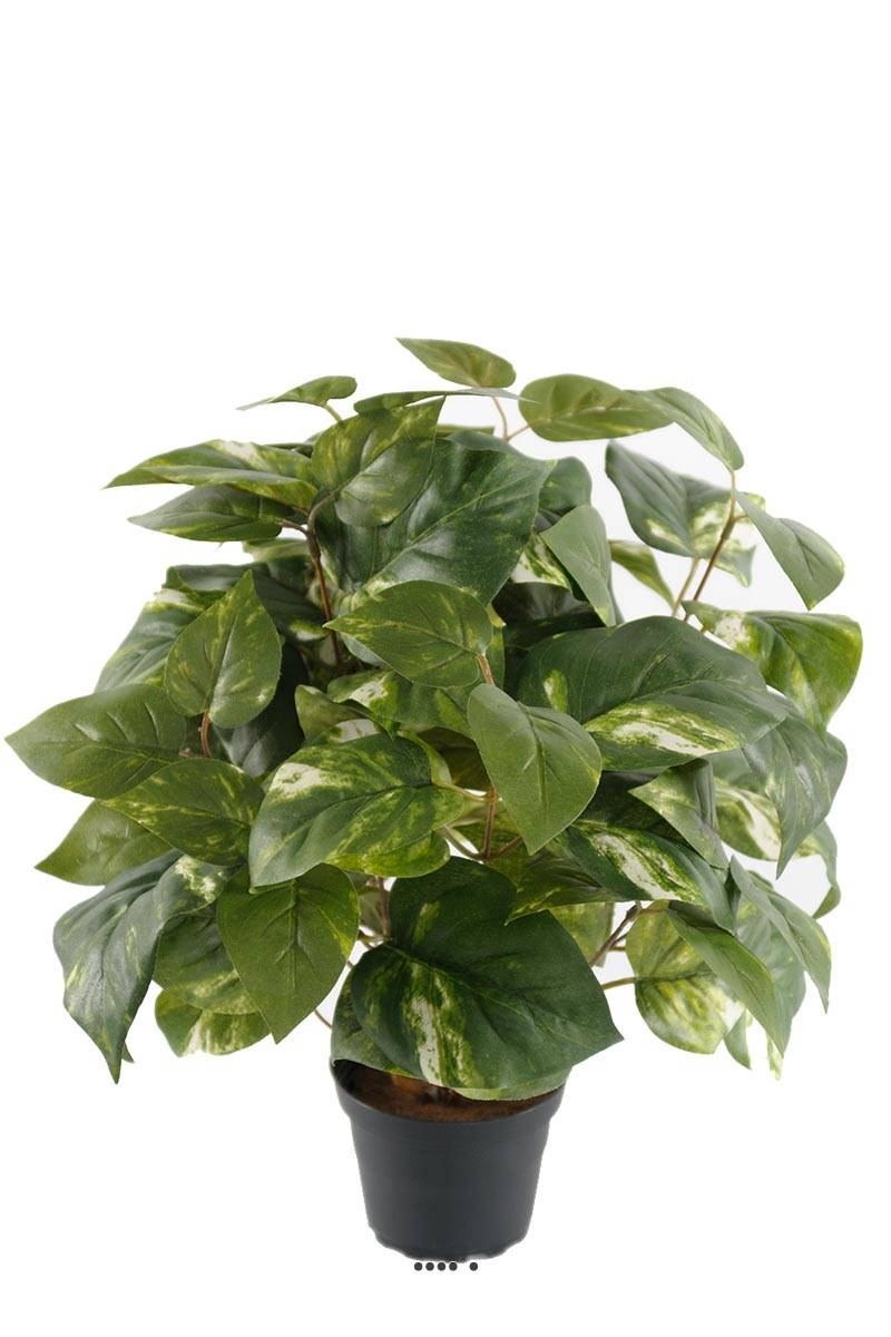 Pothos artificiel en pot H 40 cm, D 34 c, ARTIFICIELLES