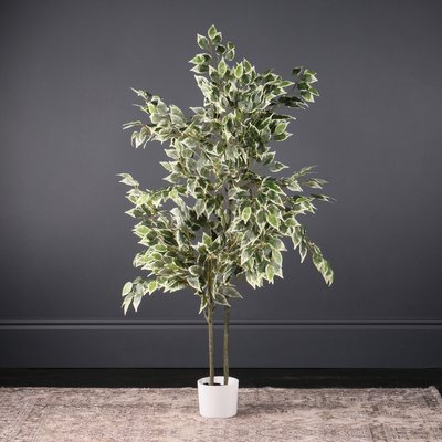 145cm Artificial Variegated Ficus Tree in White Pot SO'HOME