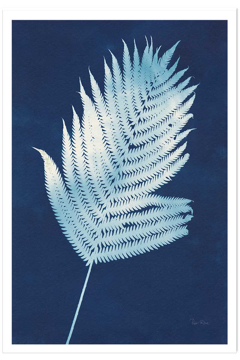 Affiche Fougère d'argent, HEXOA