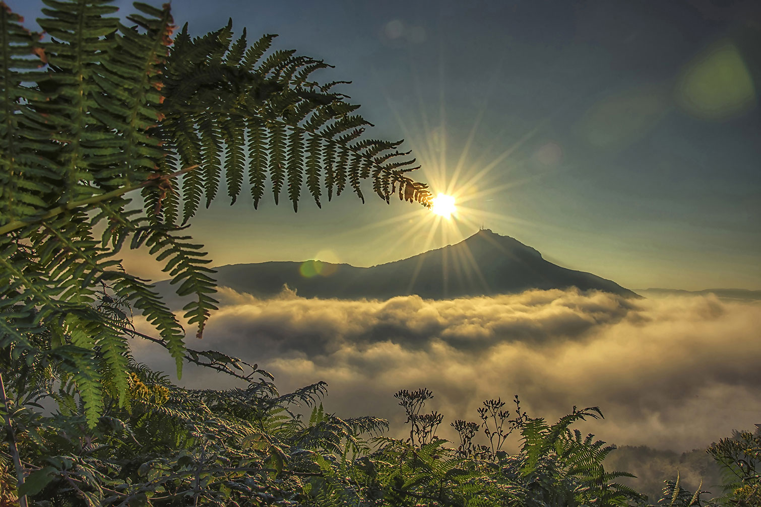 Tableau soleil sur la rhune, HEXOA