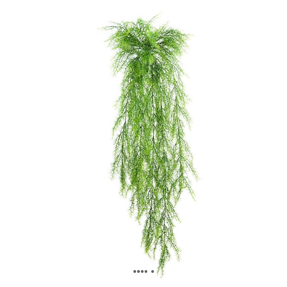 Chute d'asparagus sprengeri artifi, ARTIFICIELLES