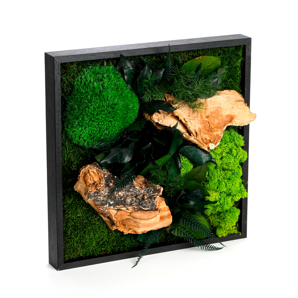 Tableau végétaux stabilisés 35x35cm, NATURE ET DECOUVERTES