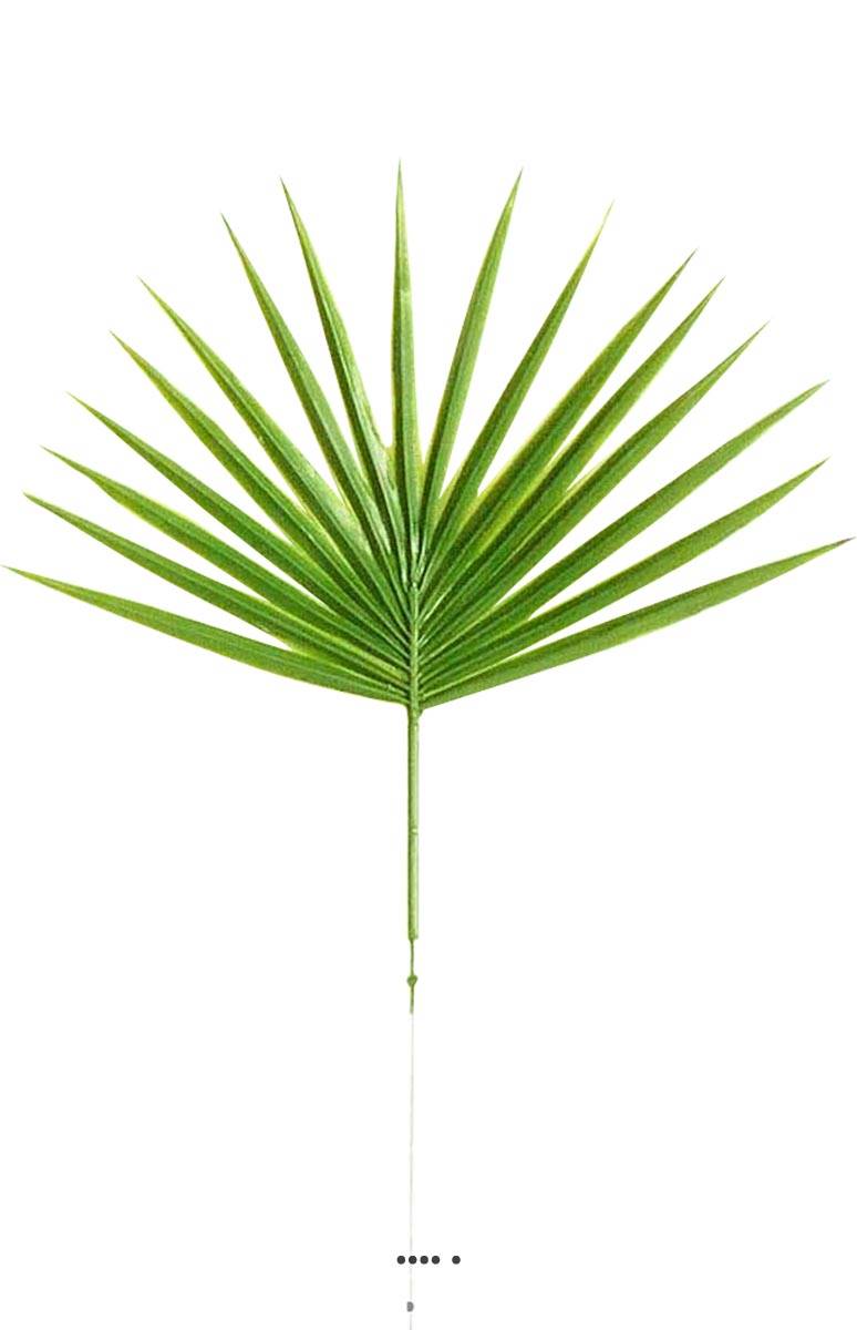 Feuille X12 palmier Chamaerops artificielle, ARTIFICIELLES