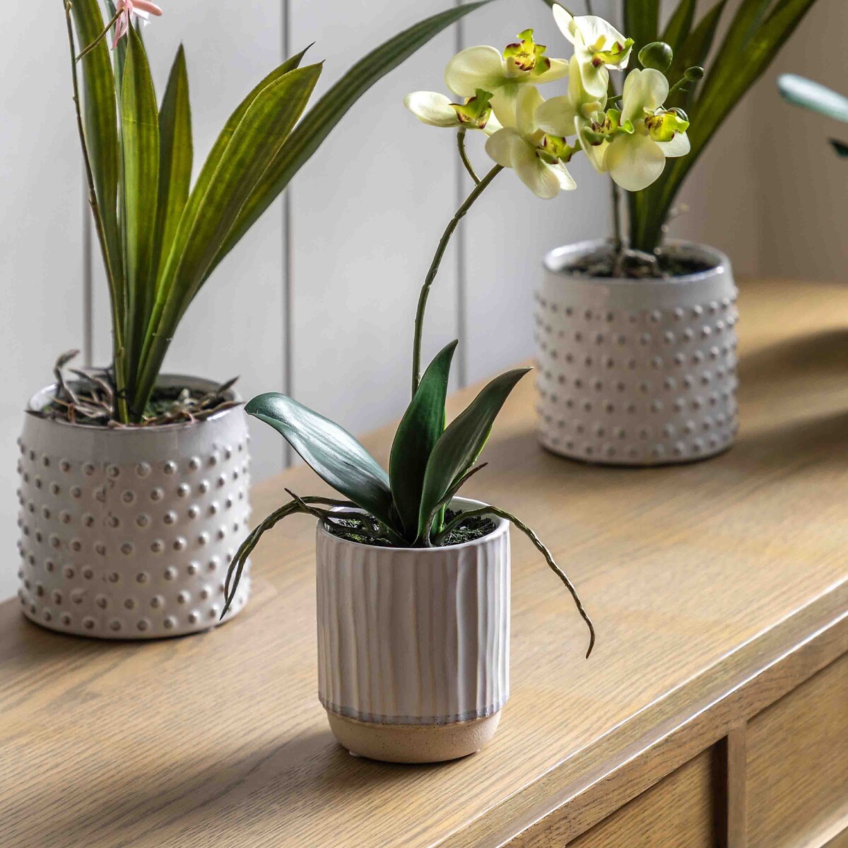 32cm Orchid in Ribbed White Ceramic Pot, ÉDITÉ