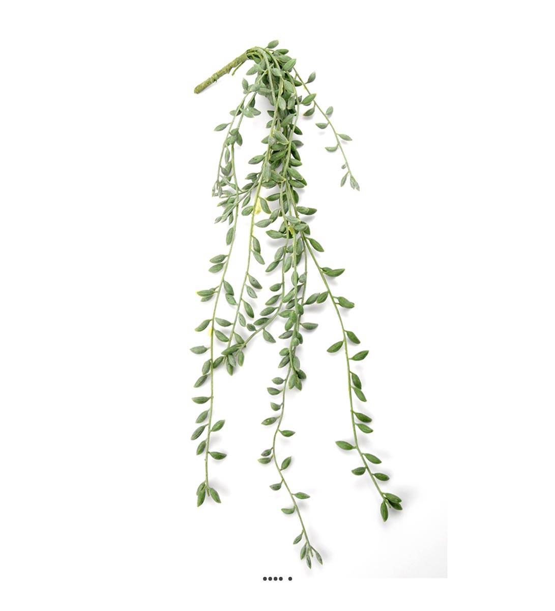 Chute de Senecio artificiel, L 52 cm, D 15, ARTIFICIELLES