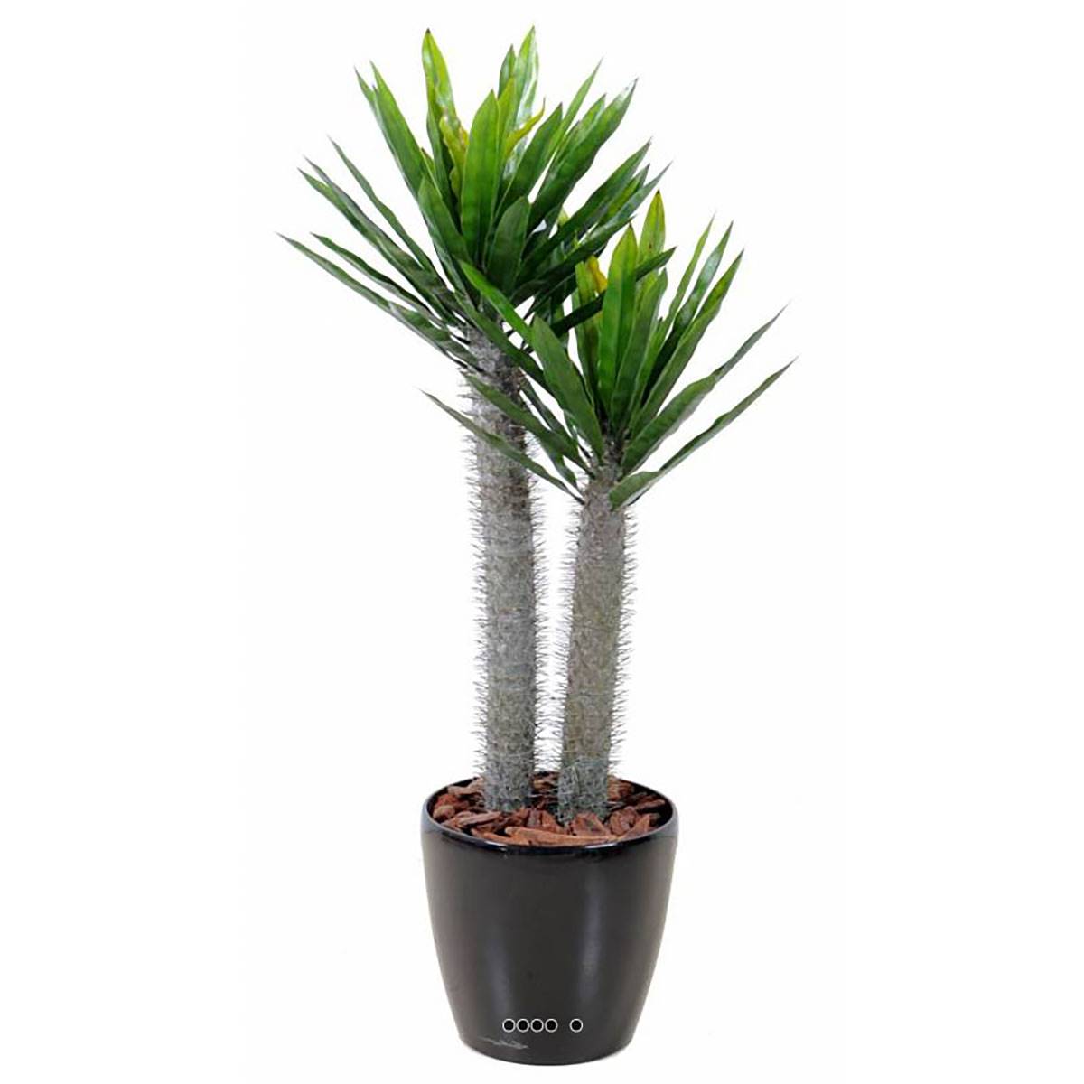 Pachypodium artificiel en pot pour extérieur, ARTIFICIELLES