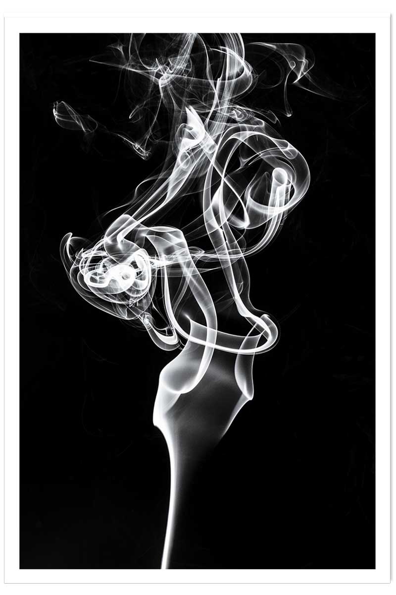 Poster white smoke tulip dream, HEXOA