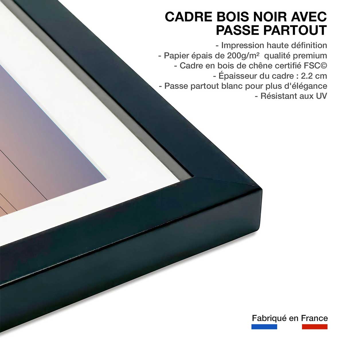 Affiche oiseaux Music of Light, HEXOA