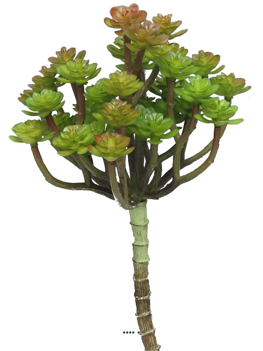 Mini têtes d'echeveria fact, ARTIFICIELLES