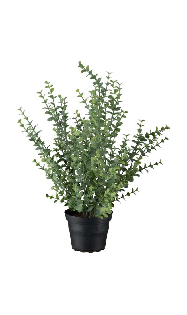 Eucalyptus artificiel en pot H 40 cm D 28 cm, ARTIFICIELLES