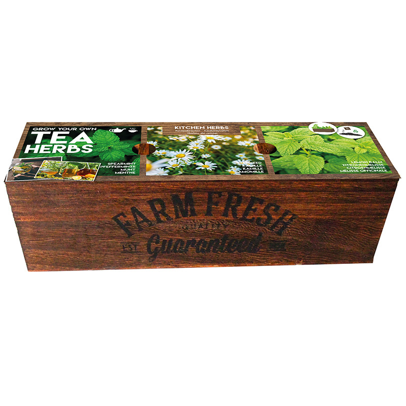 Kit prêt à pousser - Herbes à Thé, FLOREX