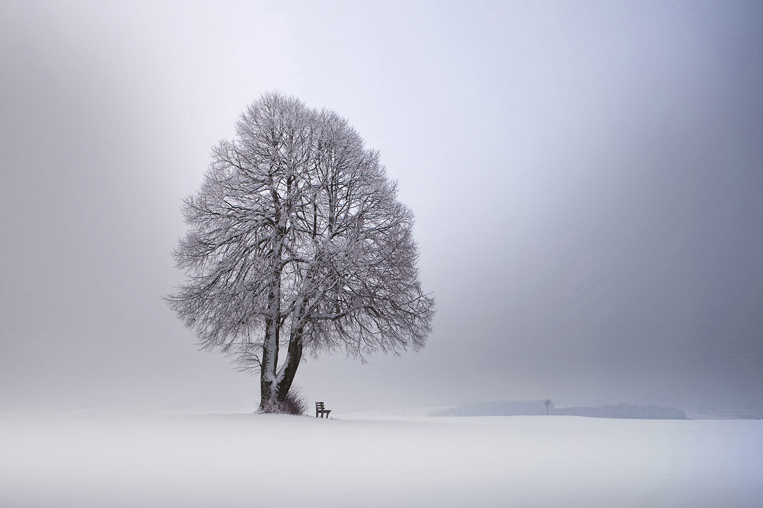 Tableau paysage Lumière d' hiver, HEXOA