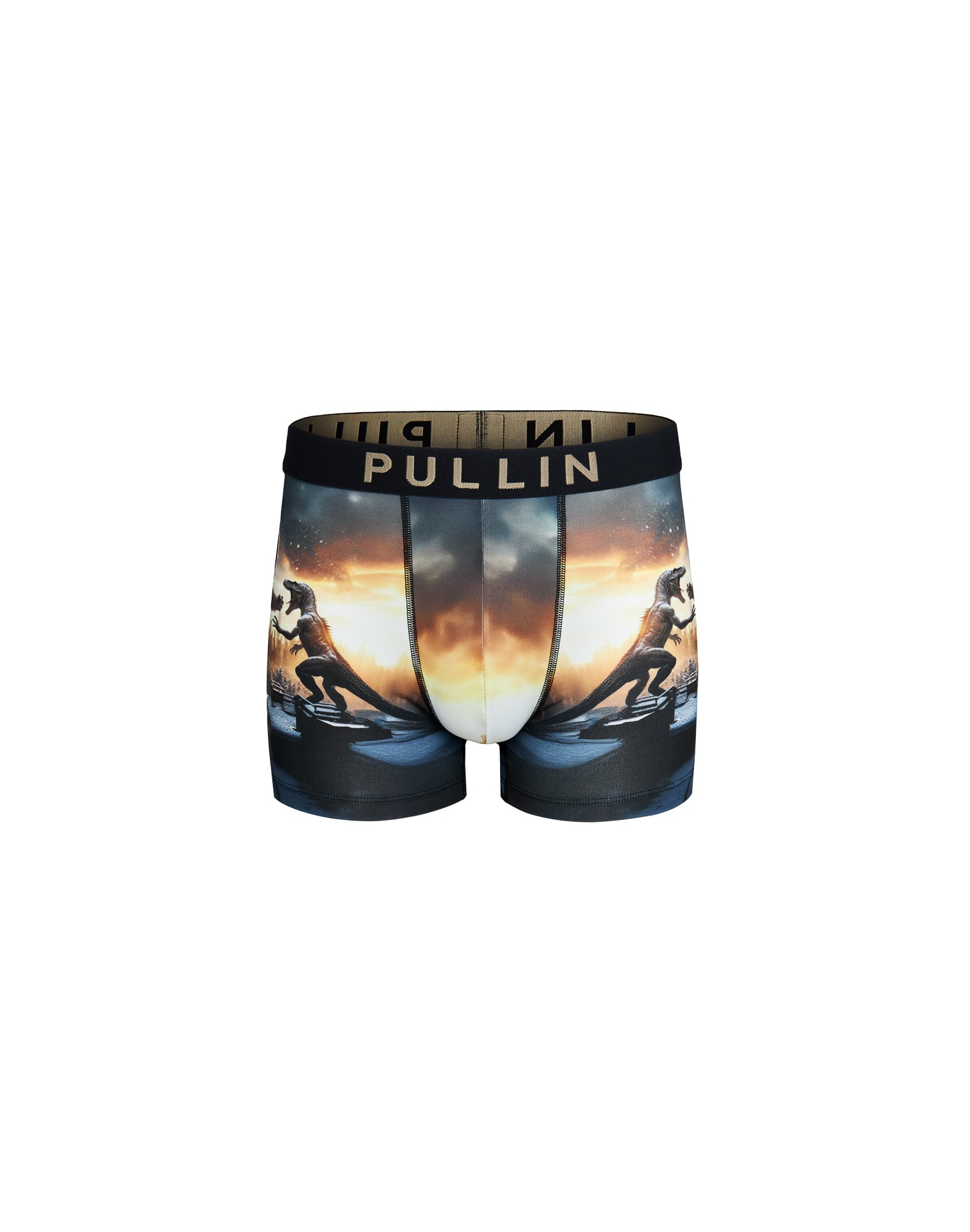 BOXER COURT JURASSIK, PULLIN