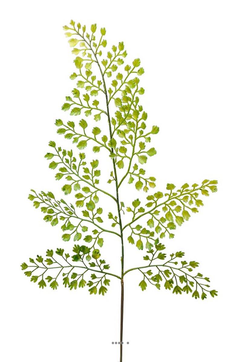 Adiantum artificielle en branche H 59 cm, ARTIFICIELLES