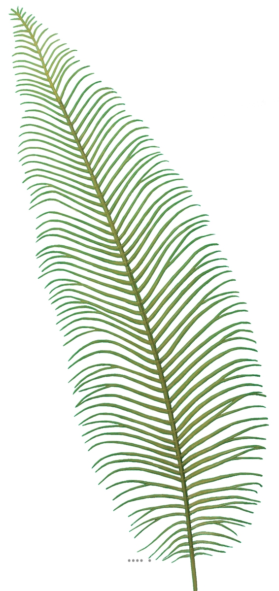 Feuille de Fougère H 59cm artificielle, ARTIFICIELLES