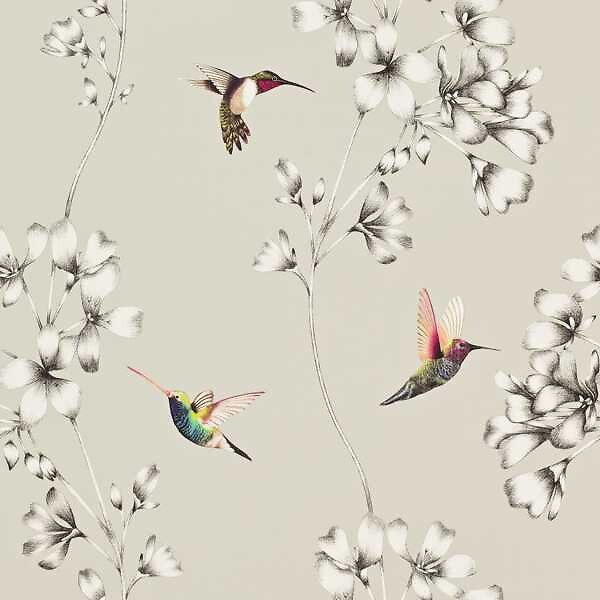 Amazilia Wallpaper, HARLEQUIN