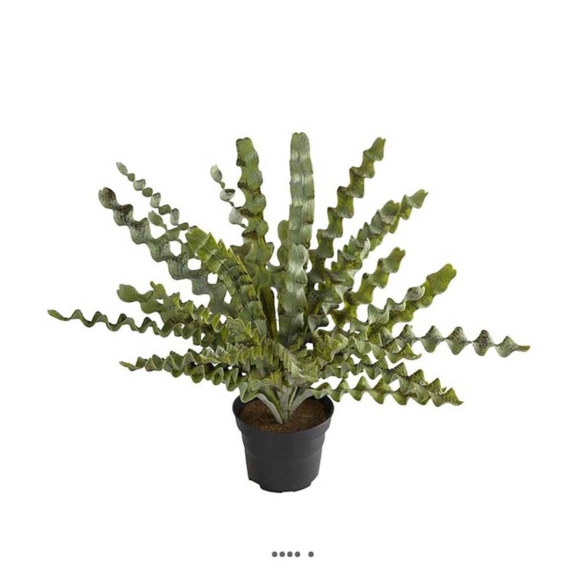 Fougère asplenium artificielle plastique, ARTIFICIELLES