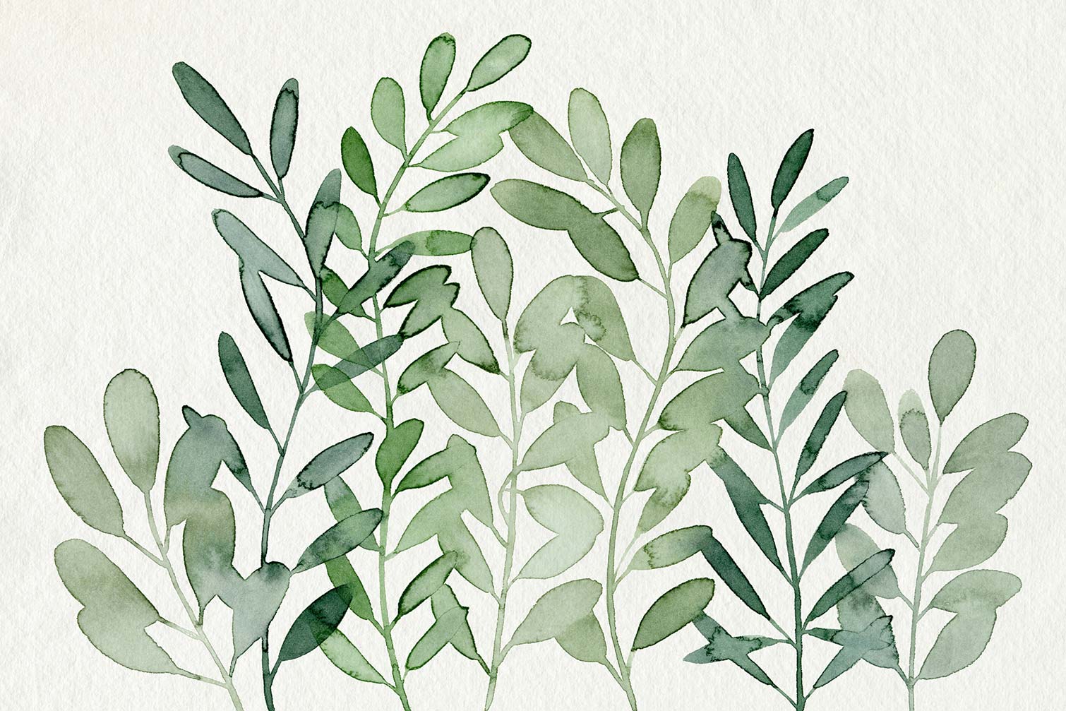 Tableau plantes fourrages, HEXOA