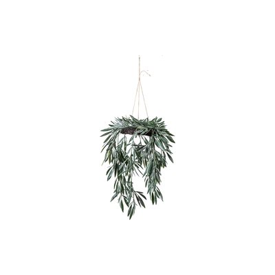 Artificial Eucalyptus Hanging Wreath SO'HOME