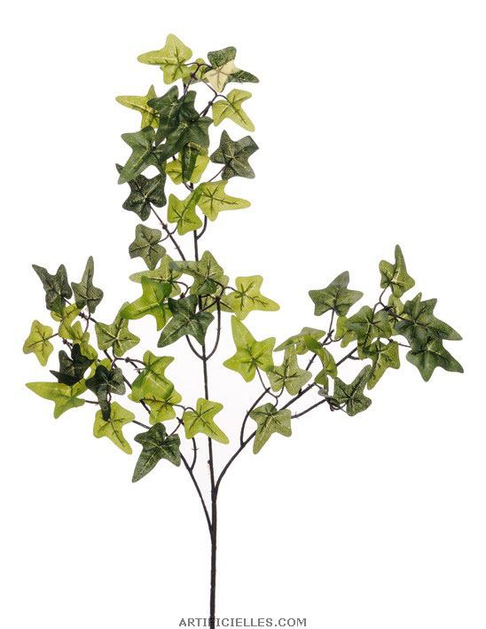 Lierre artificiel en branche H 70 cm, ARTIFICIELLES