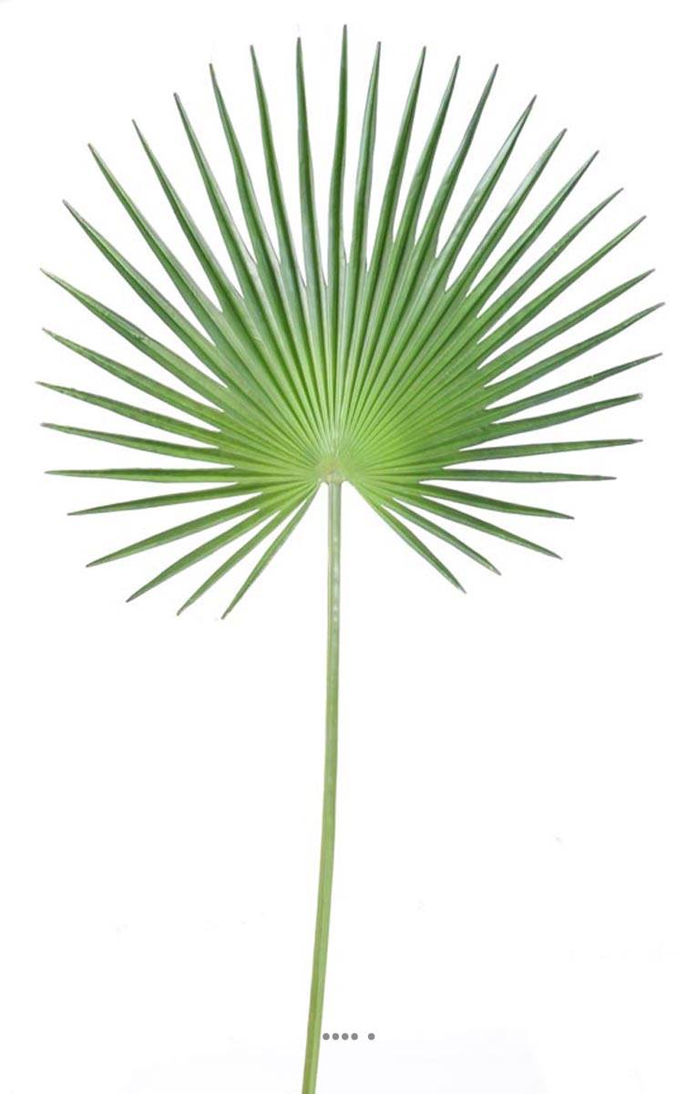 Feuille palmier Chamaerops artificielle H 120, ARTIFICIELLES