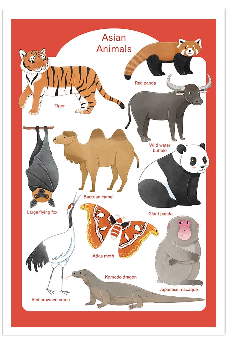 Affiche enfant animaux d' asie, HEXOA