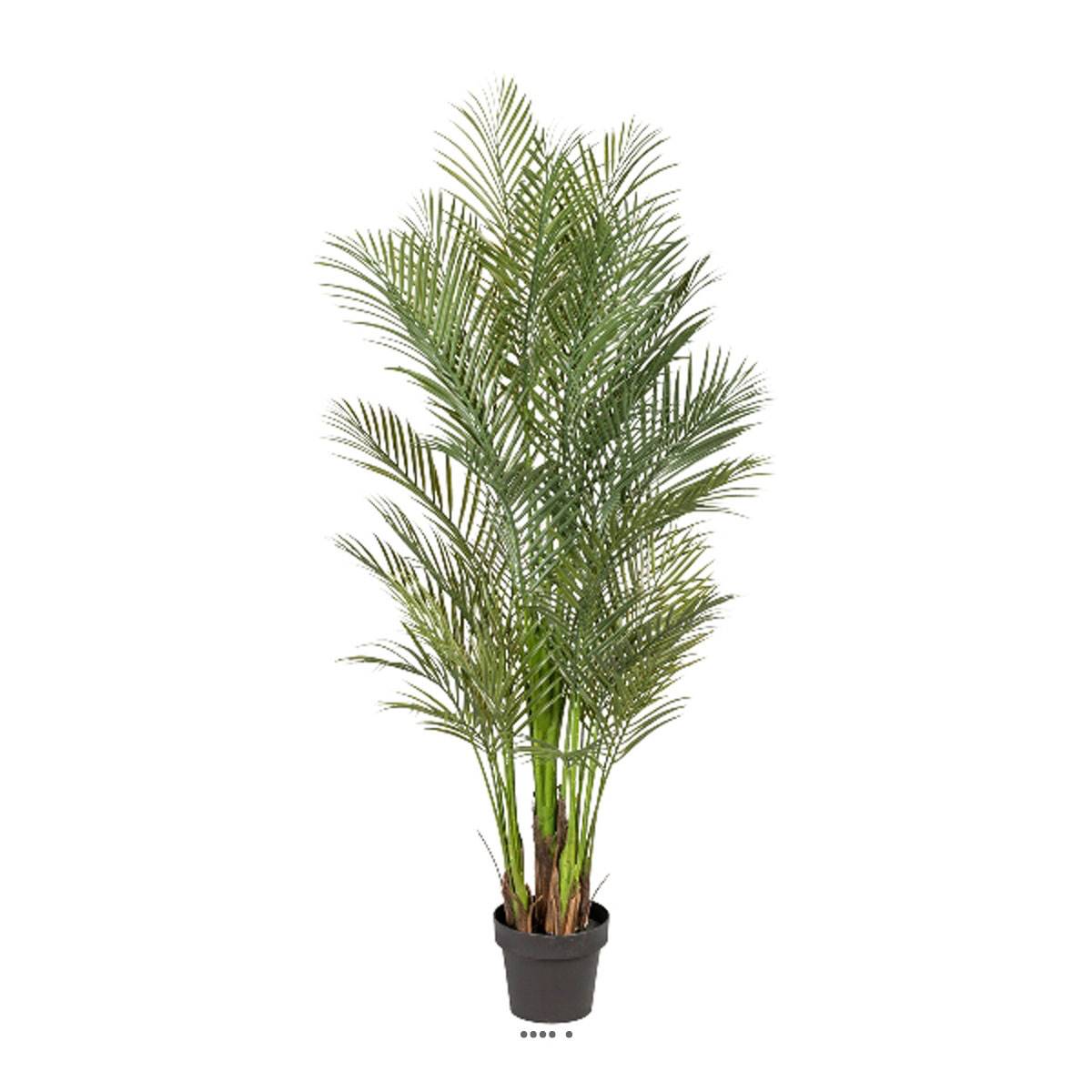 Palmier Areca artificiel H 160 cm 6 troncs, ARTIFICIELLES