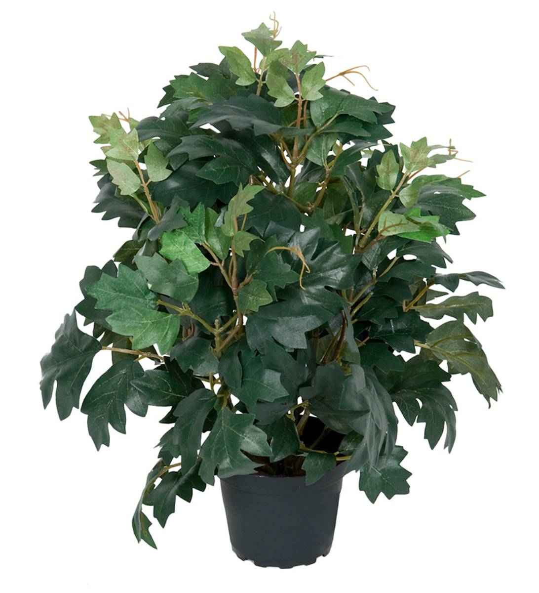 Cissus artificiel en pot, H 35 cm, D 23 c, ARTIFICIELLES