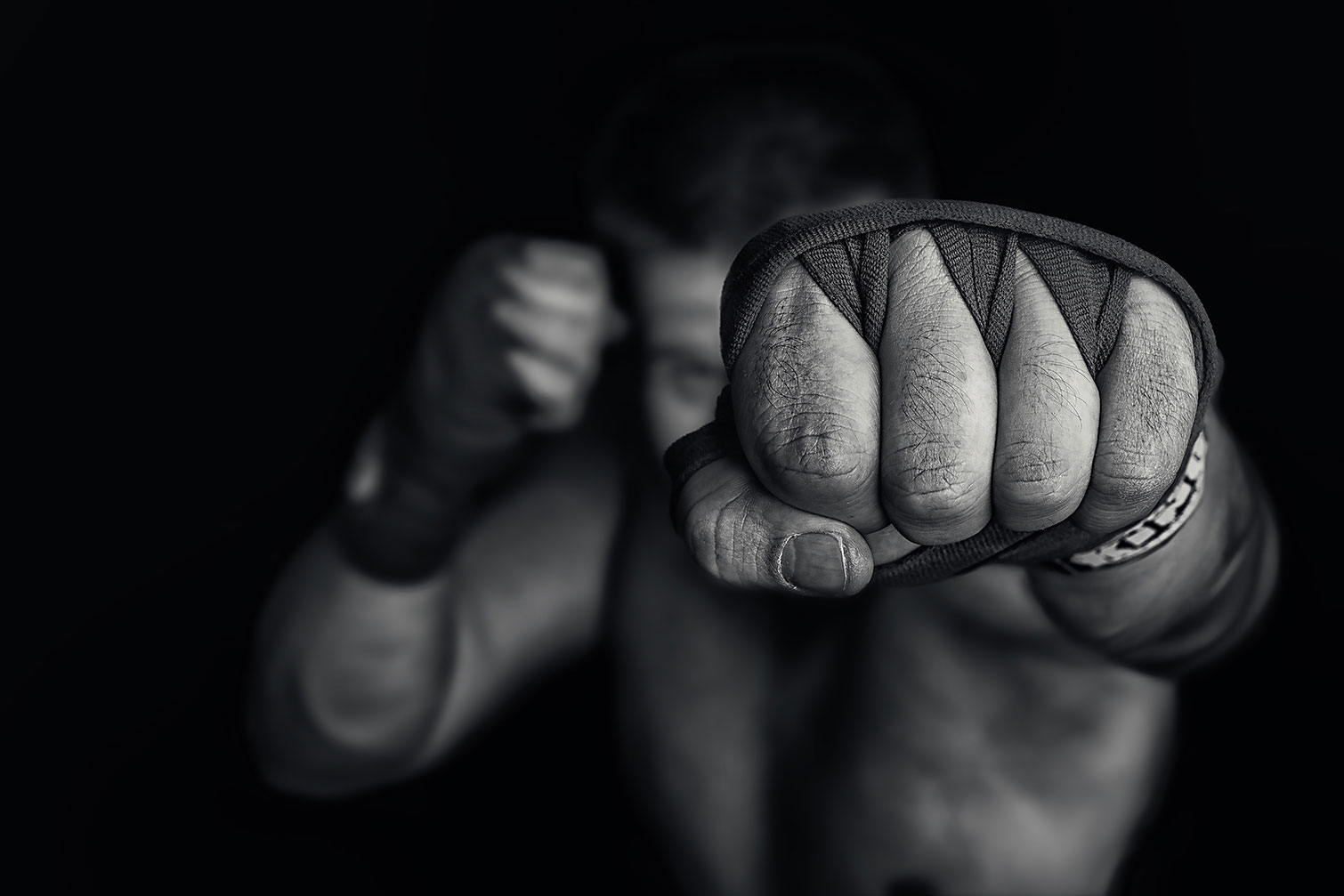 Tableau boxe left wing, HEXOA