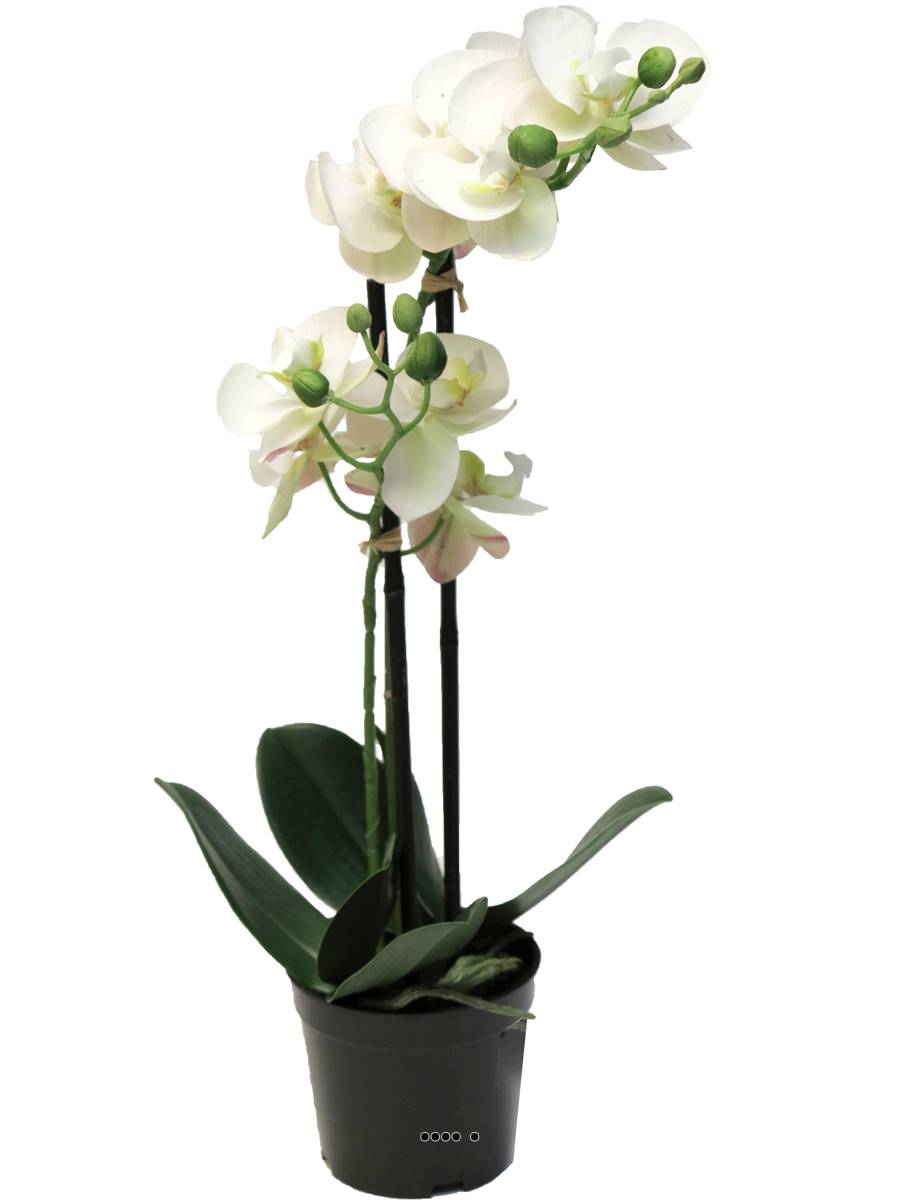 Orchidée Phalaenopsis factice en pot quali, ARTIFICIELLES