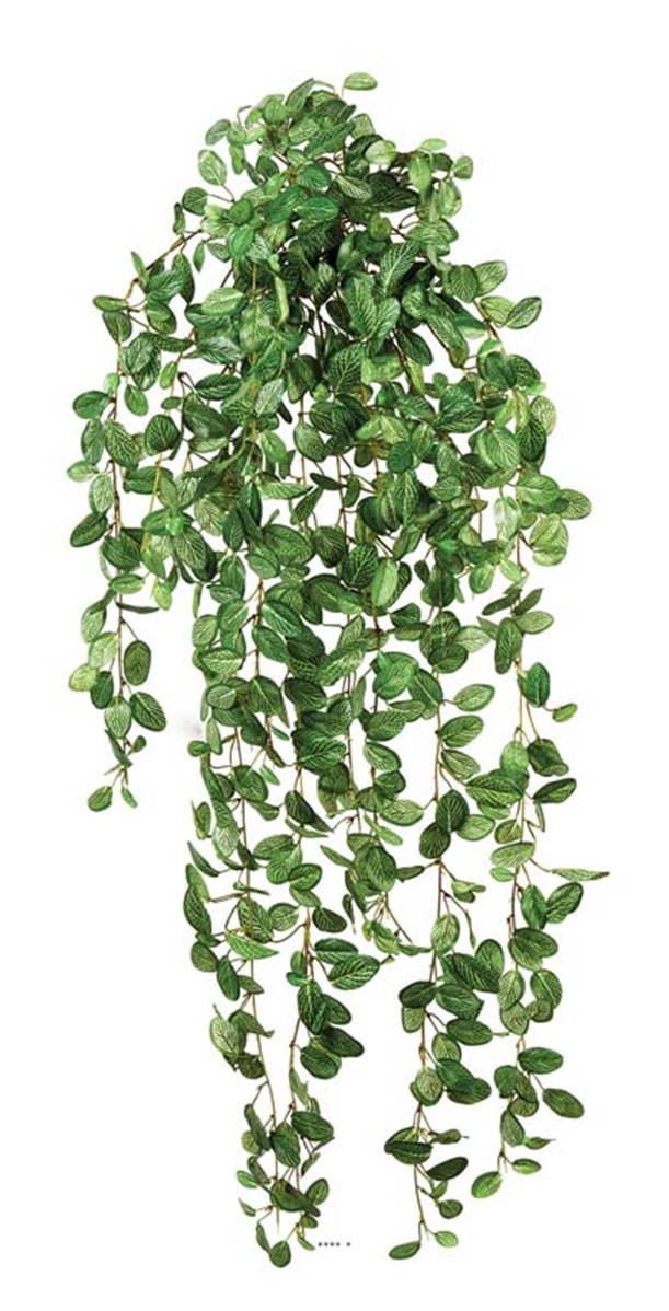 Chute de fittonia artificiel L 85 cm 706 feui, ARTIFICIELLES