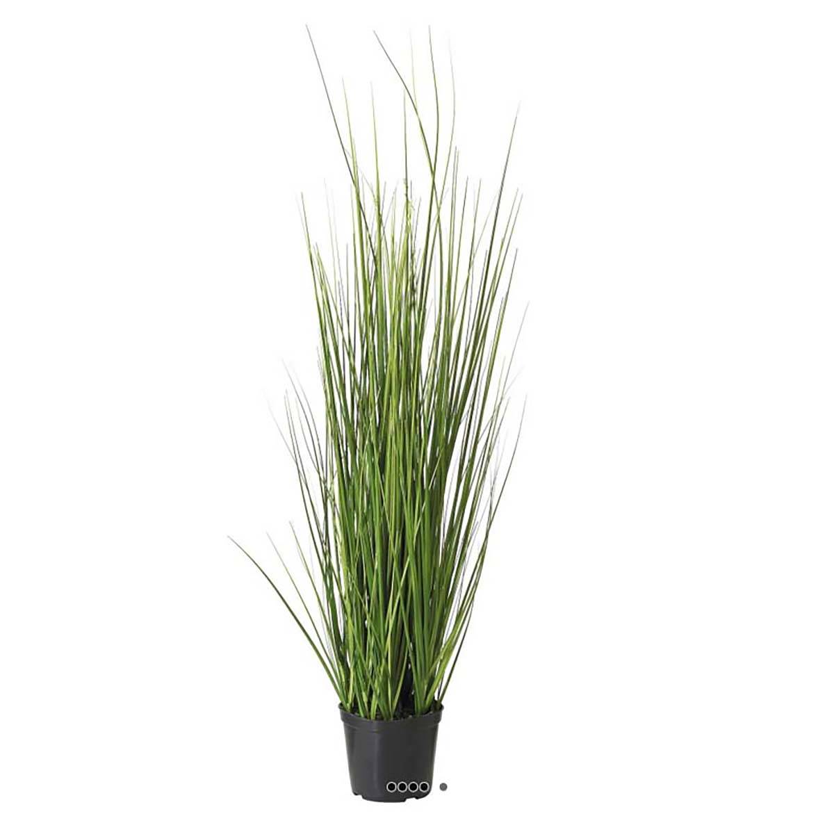Isolepsis graminée artificielle herbes folles, ARTIFICIELLES