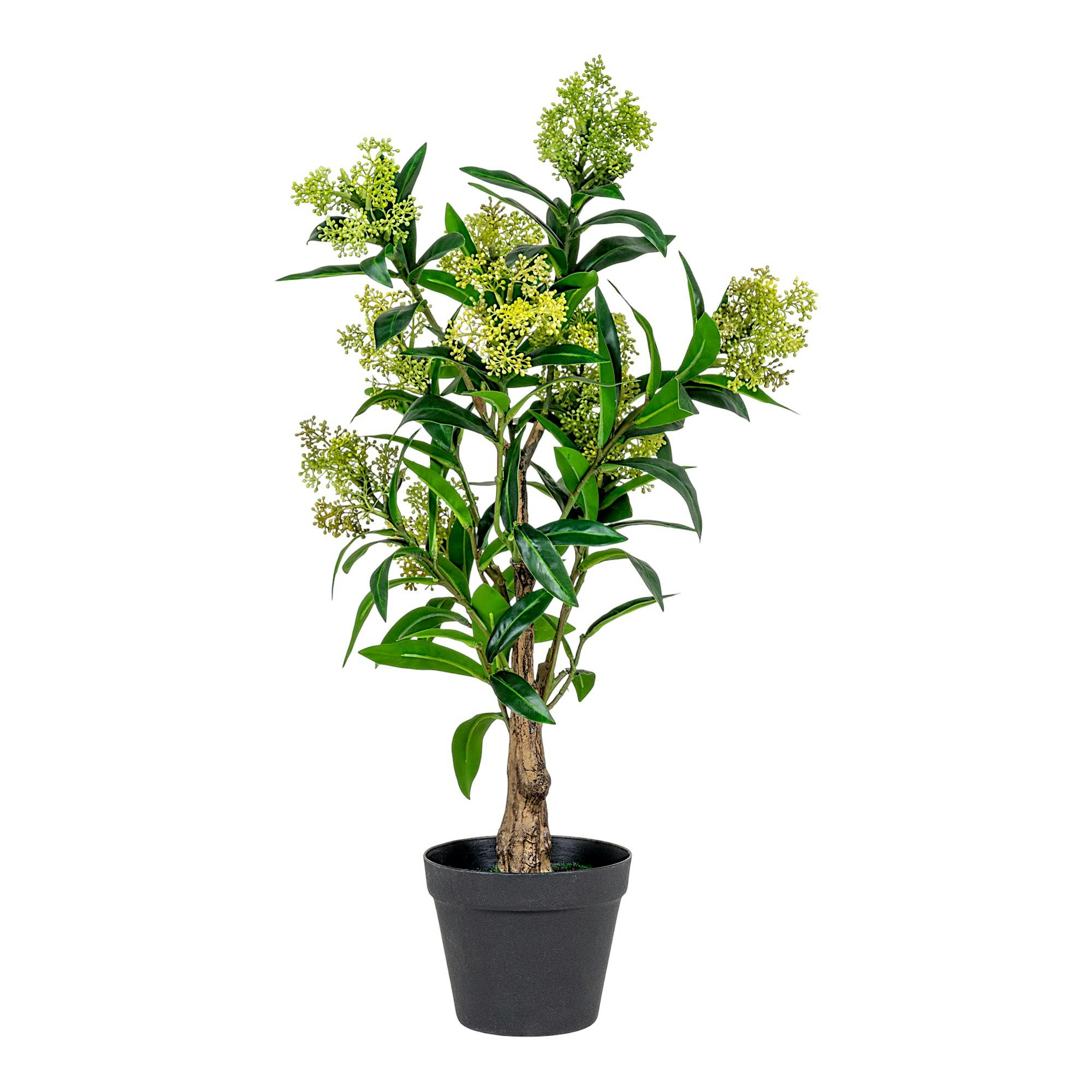 Plante artificielle skimmia en pot H 75 cm, PIER IMPORT