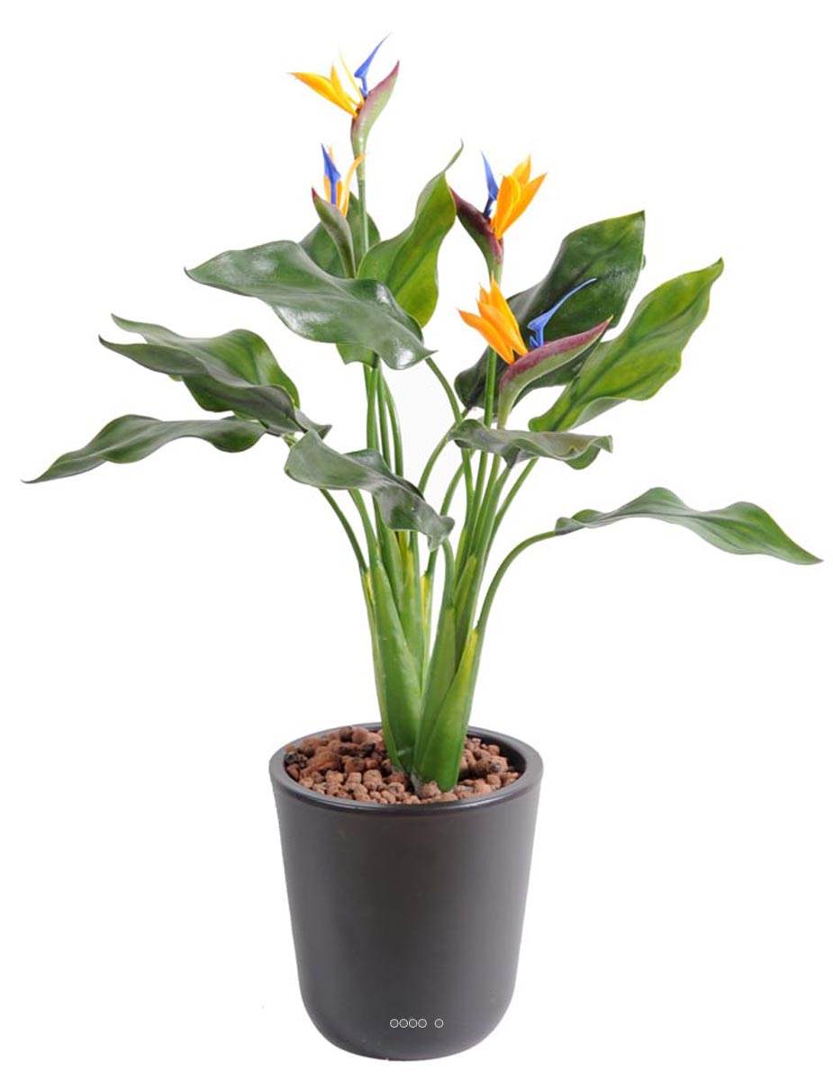 Strelizia arabica plastique H 50 cm 4 fleurs, ARTIFICIELLES