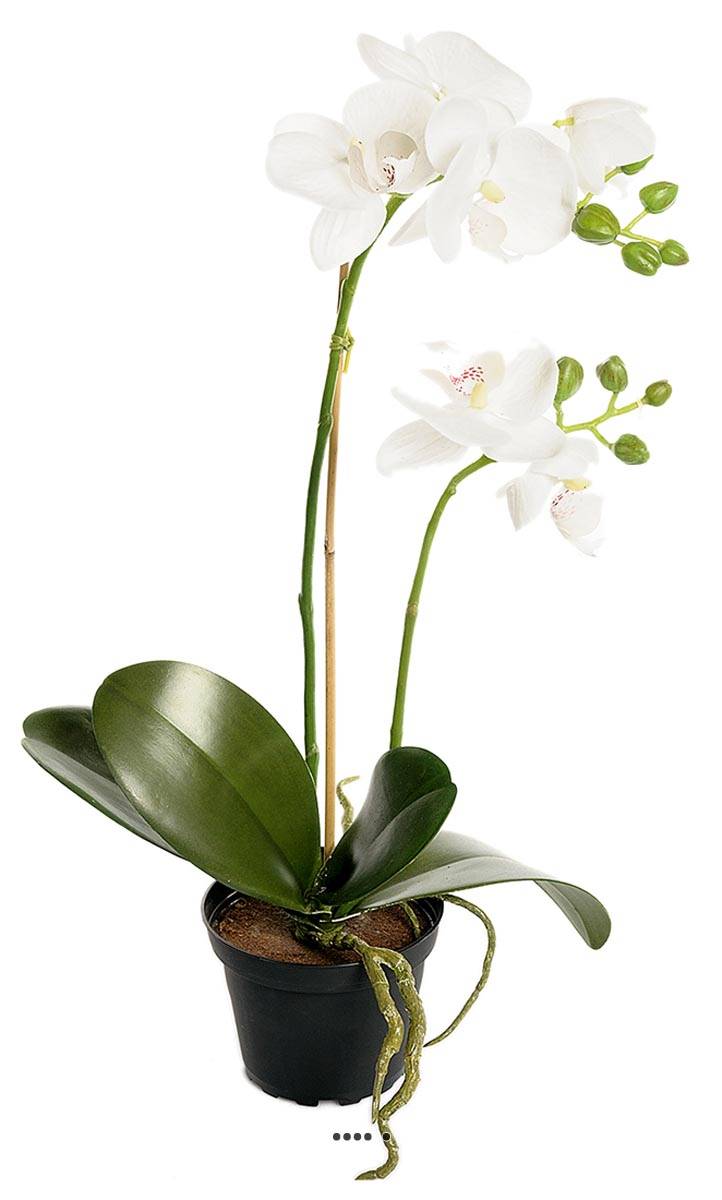 Orchidee artificielle 2 hampes en pot H 40 cm, ARTIFICIELLES