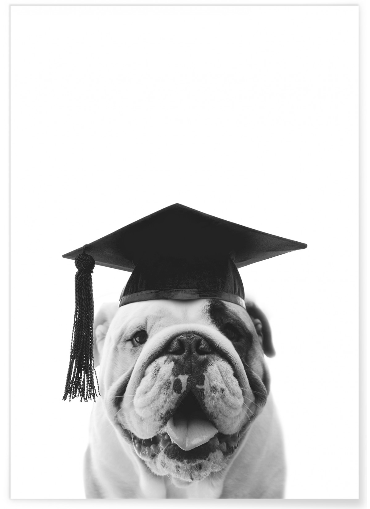 Affiche Bulldog Gaston, L'AFFICHERIE