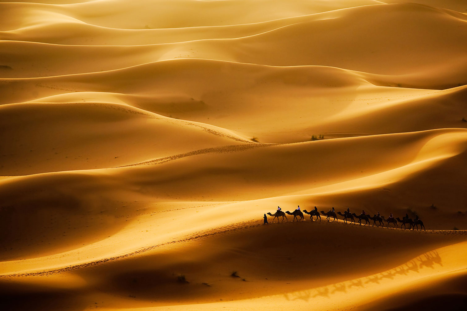 Tableau paysage le desert des nomades, HEXOA