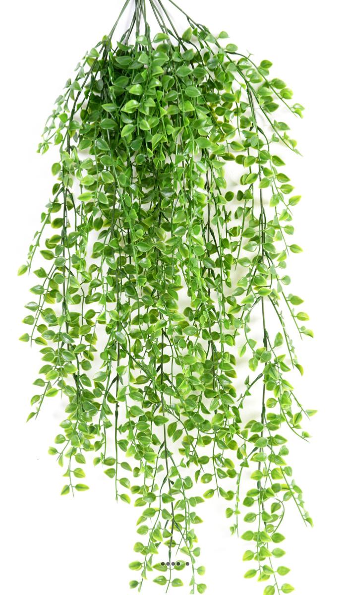 Superbe chute de callisia artificielle H 80, ARTIFICIELLES