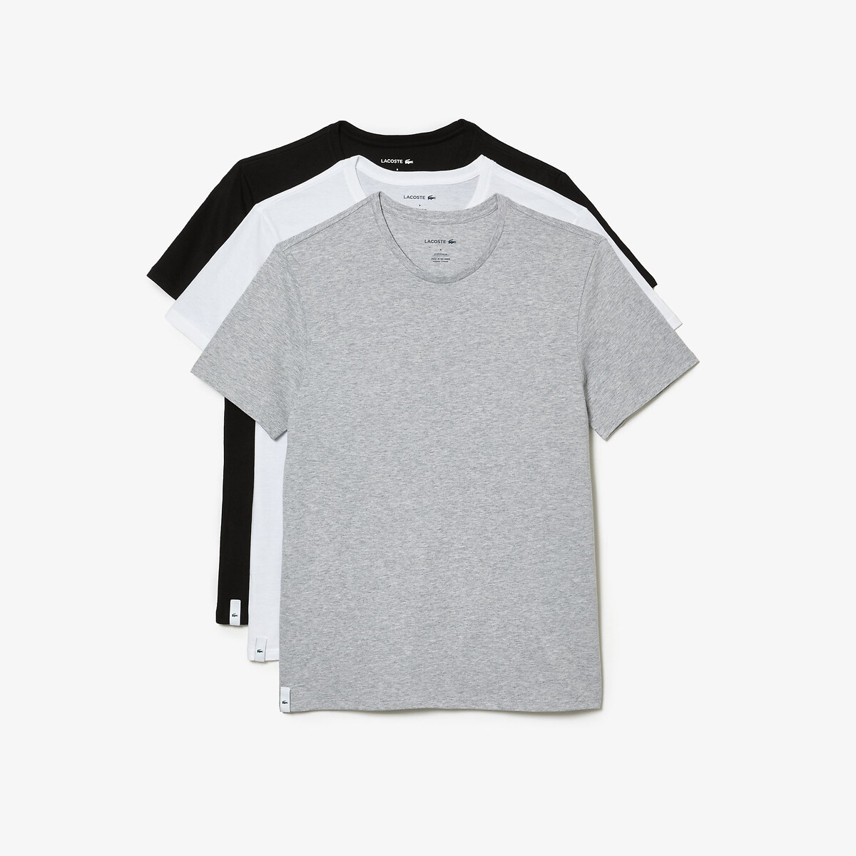 pack of 3 t-shirts in cotton with crew neck