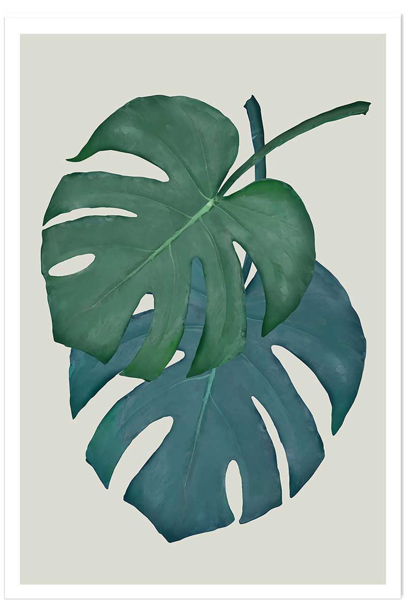 Affiche Monstera turquoise, HEXOA