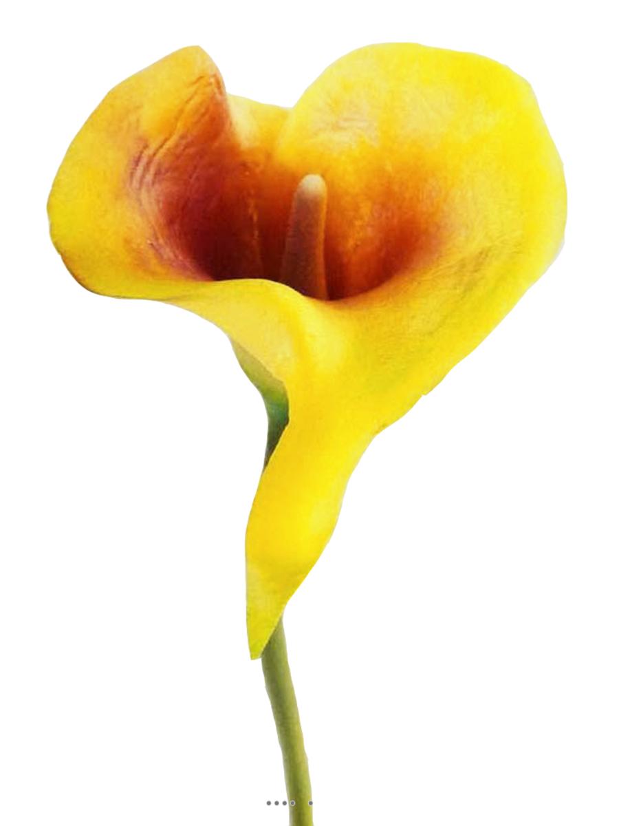 Arum calla fleur artificielle Jaune aubergine, ARTIFICIELLES