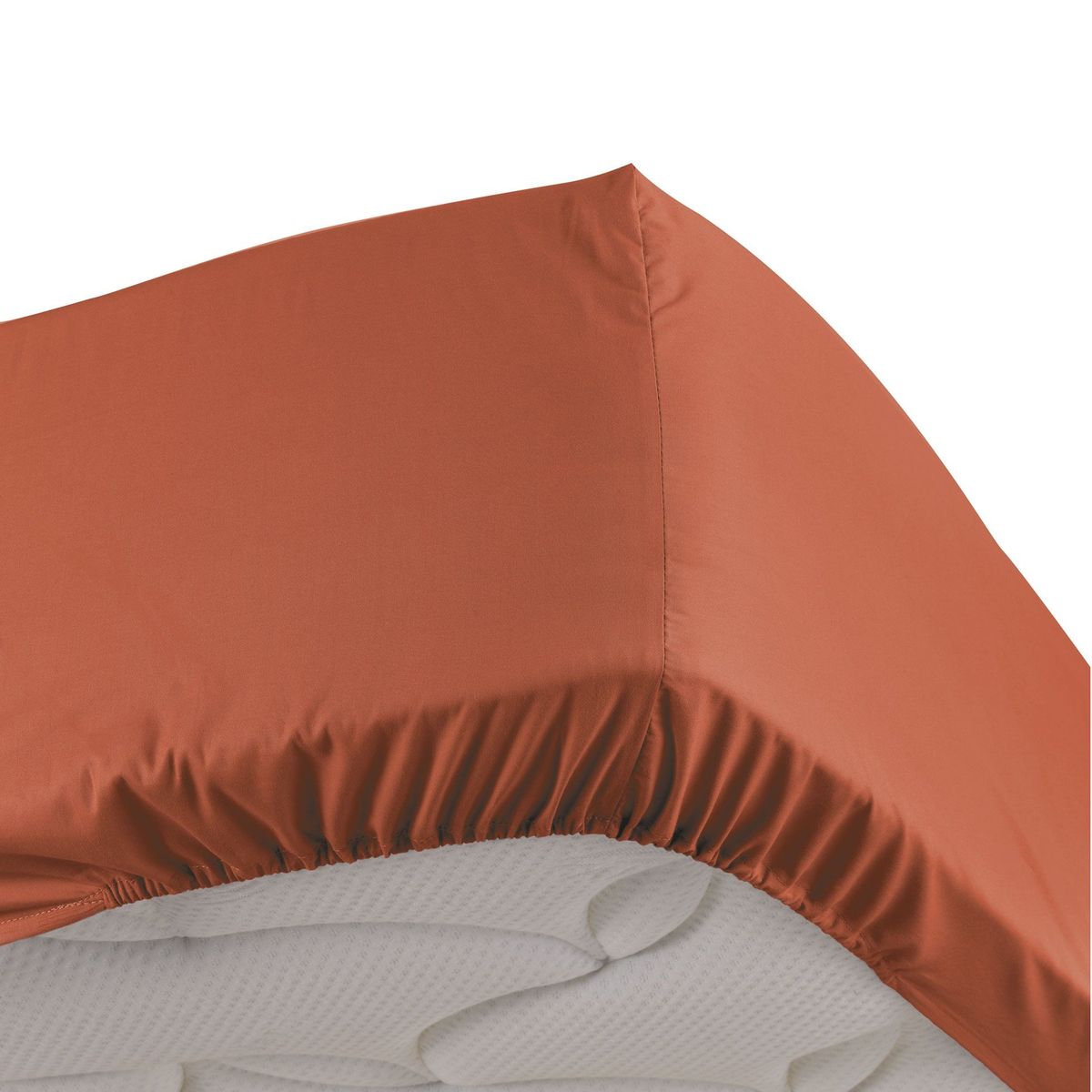 Drap Housse Terracotta La Redoute