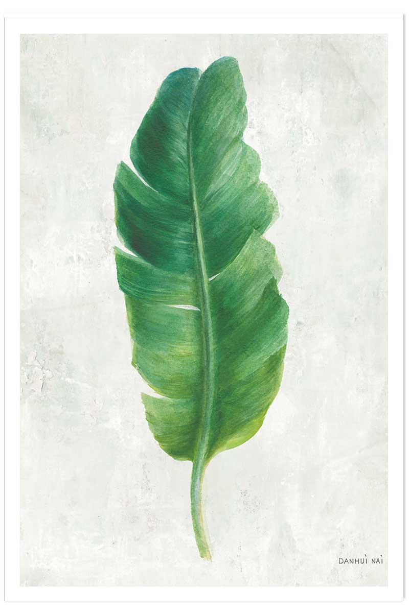 Affiche Feuille de bananier illustrée, HEXOA