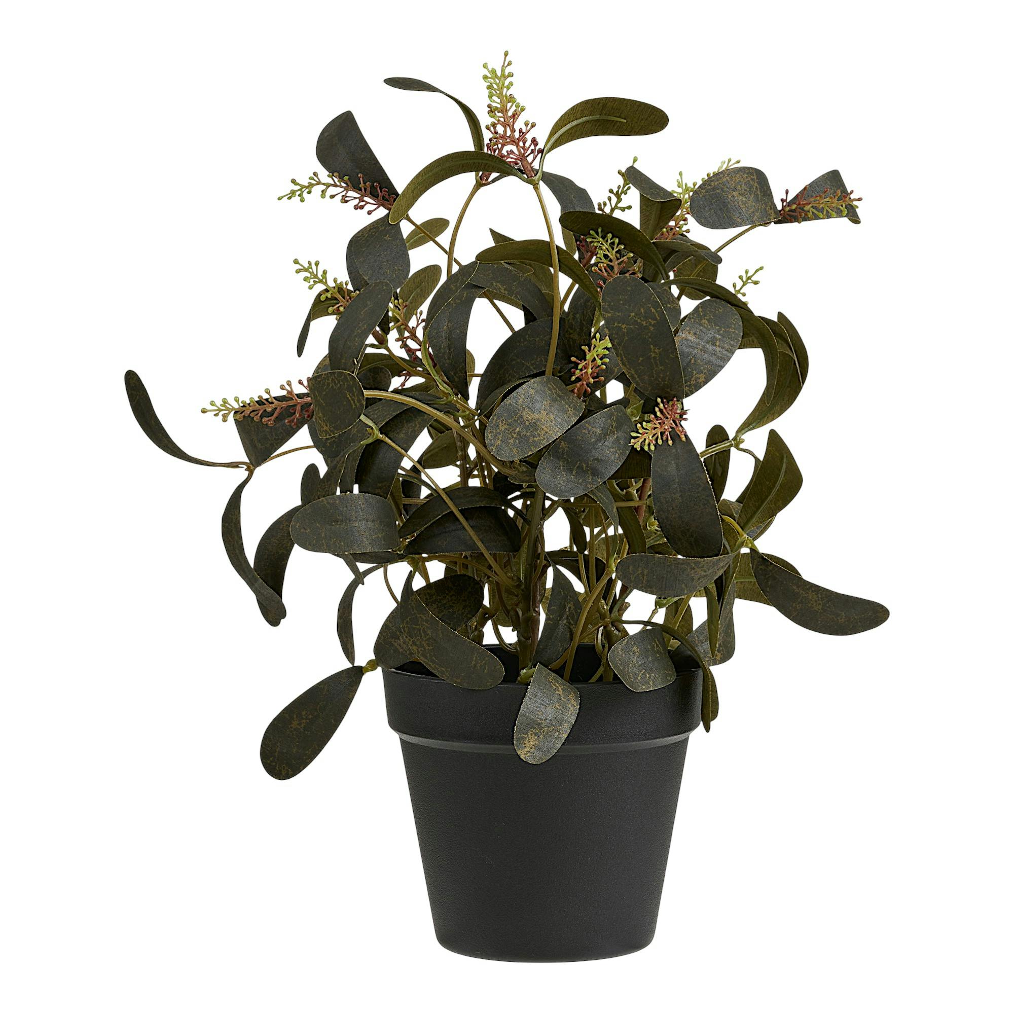 Plante artificielle skimmia en pot, PIER IMPORT
