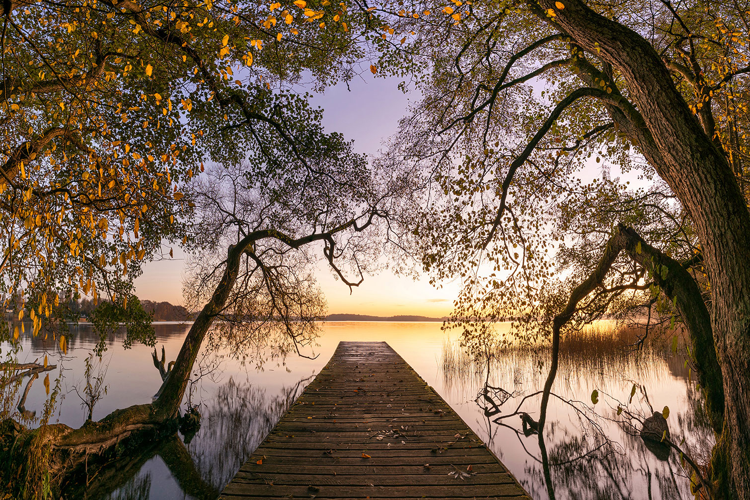 Tableau Au bout du lac, HEXOA