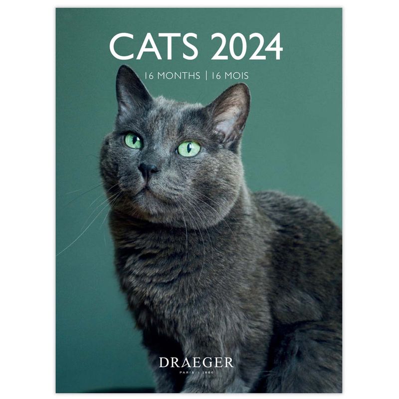 Agenda semainier 2023-2024 - 13x18 cm - - septembre 2023 à août 2024 - bleu  et jaune blanc Draeger Paris