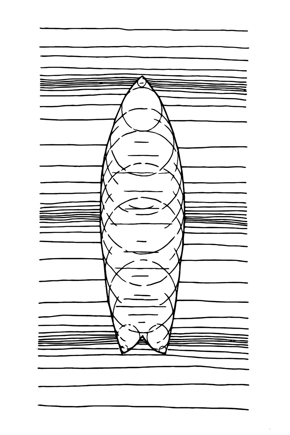 Tableau surf géo, HEXOA