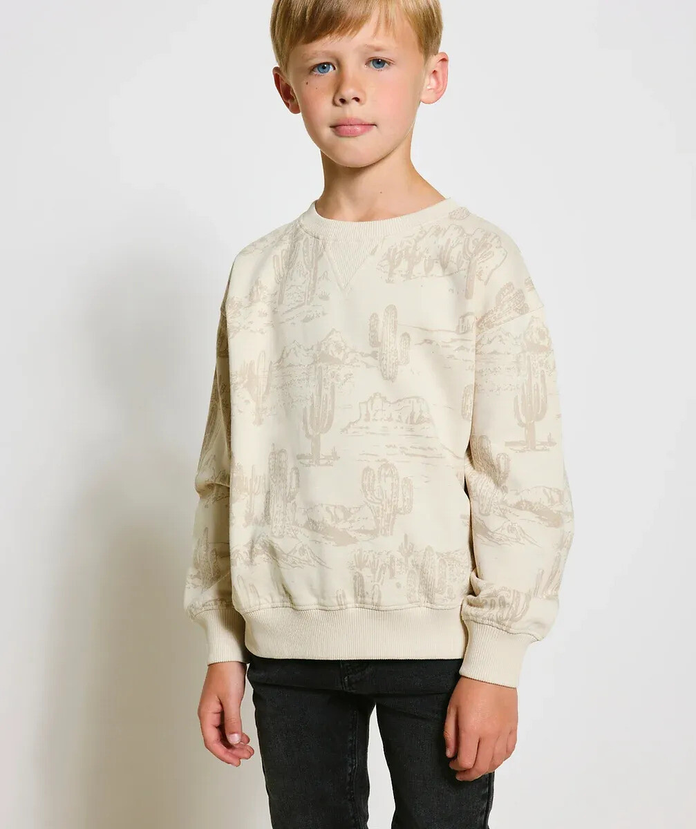 Desert Print Sweatshirt with Crew Neck, TAPE A L'OEIL