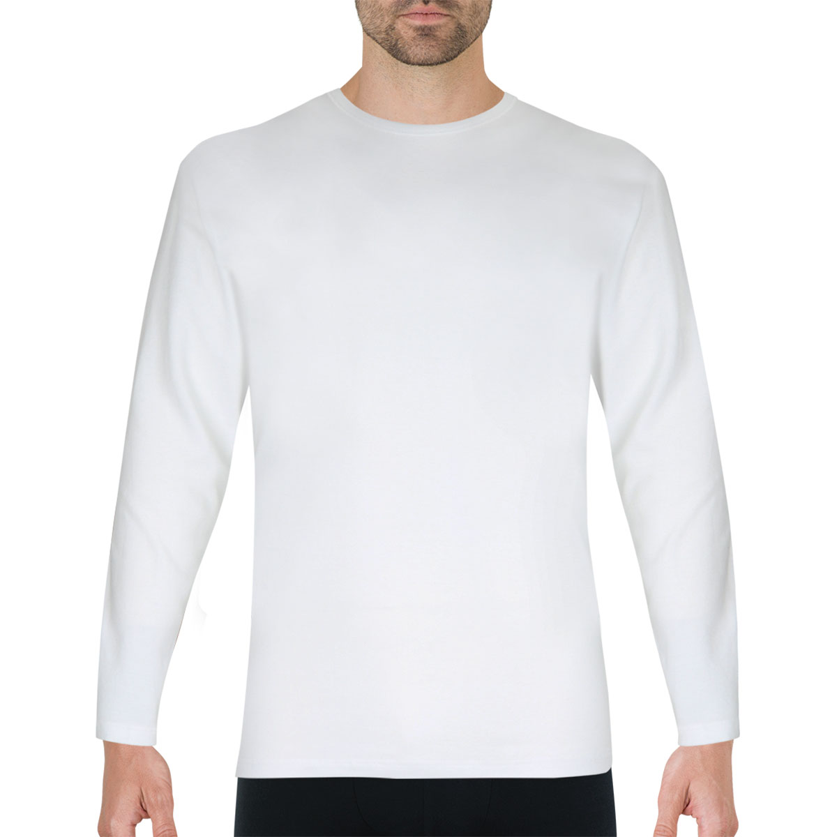 T-shirt col rond manches longues PUR COTON PREMIUM, EMINENCE